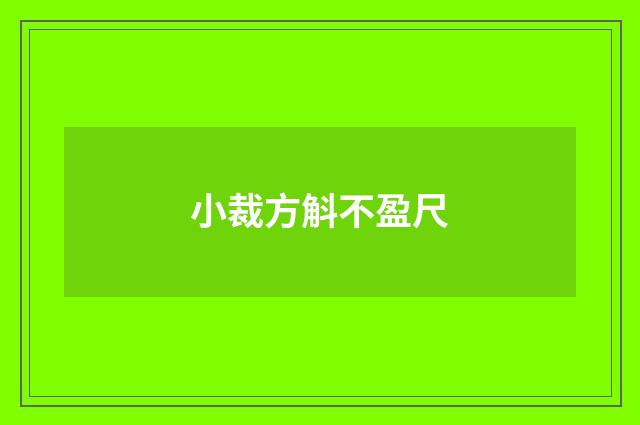 小裁方斛不盈尺