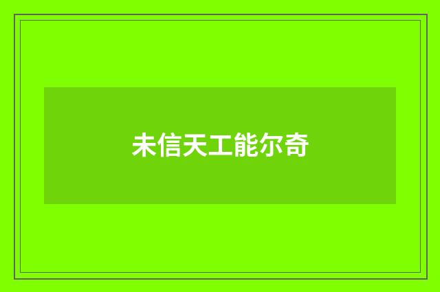 未信天工能尔奇