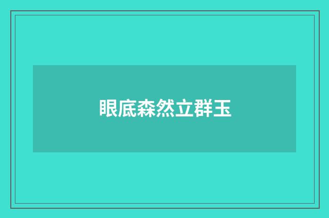 眼底森然立群玉