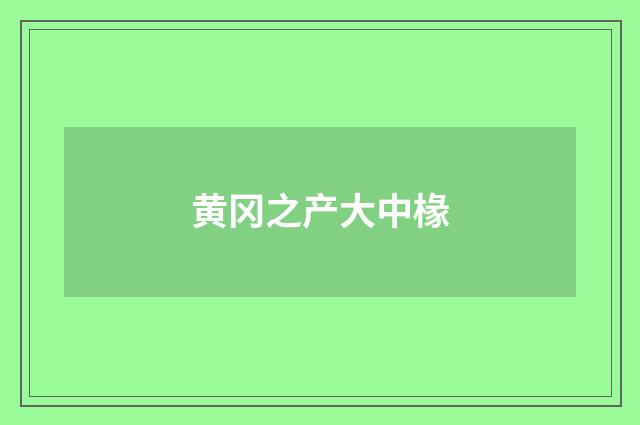 黄冈之产大中椽