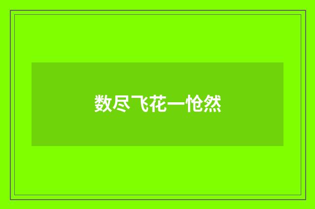 数尽飞花一怆然