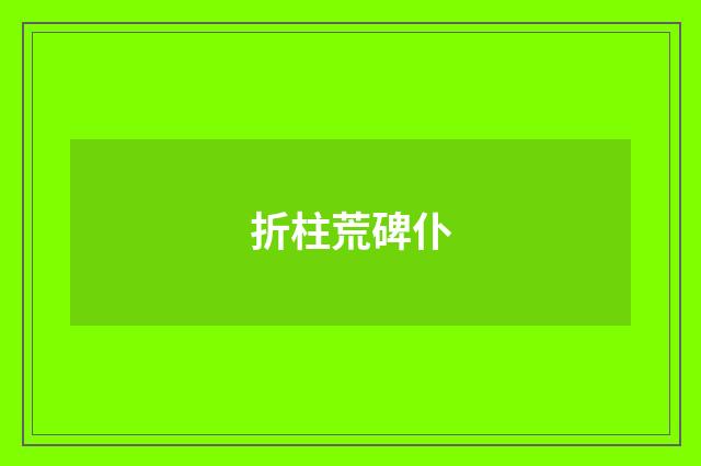 折柱荒碑仆