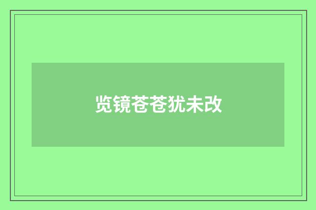 览镜苍苍犹未改