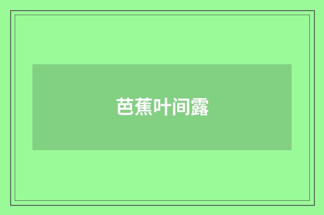 芭蕉叶间露