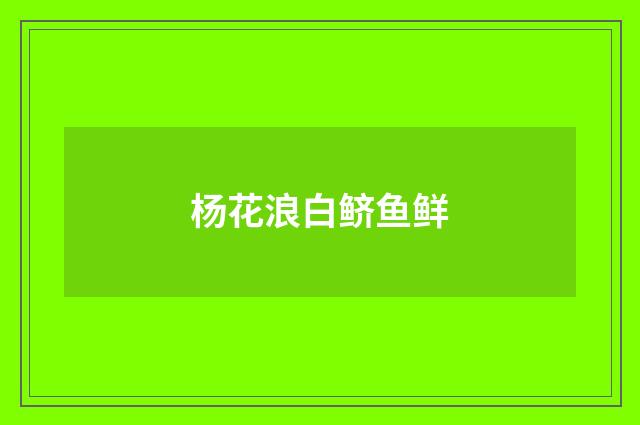 杨花浪白鲚鱼鲜