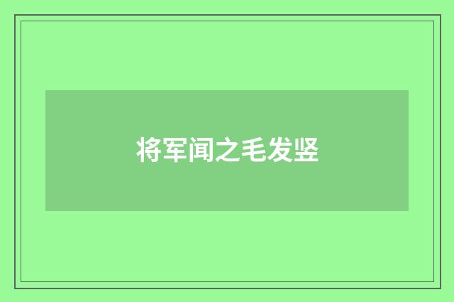 将军闻之毛发竖