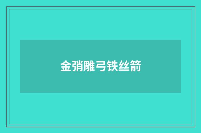 金弰雕弓铁丝箭