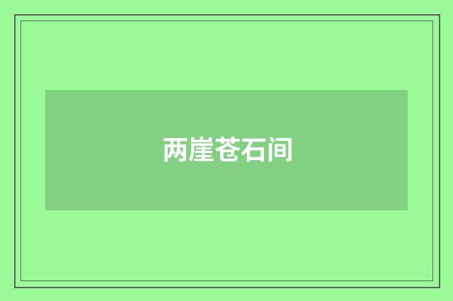 两崖苍石间