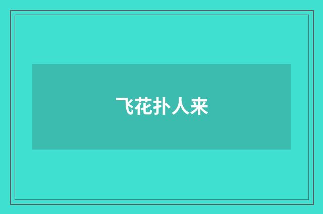 飞花扑人来