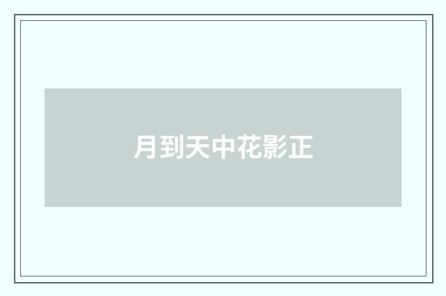 月到天中花影正