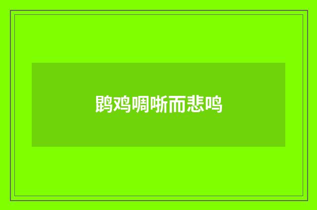 鹍鸡啁哳而悲鸣