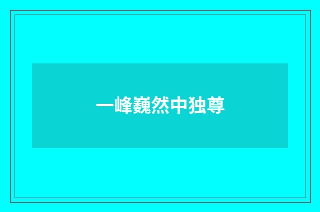 一峰巍然中独尊