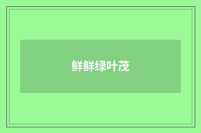 鲜鲜绿叶茂