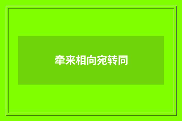 牵来相向宛转同
