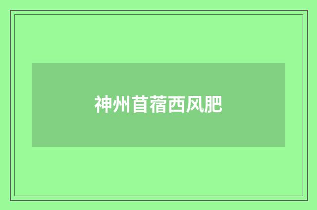 神州苜蓿西风肥