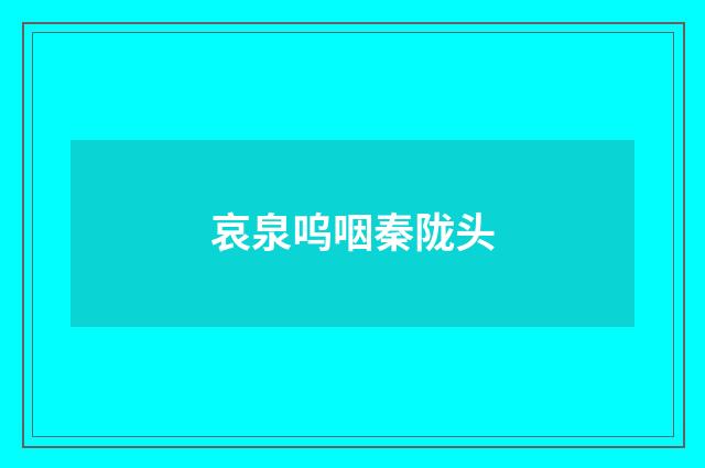 哀泉呜咽秦陇头