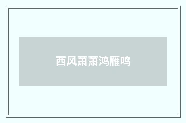 西风萧萧鸿雁鸣