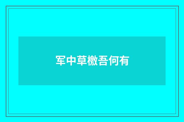 军中草檄吾何有