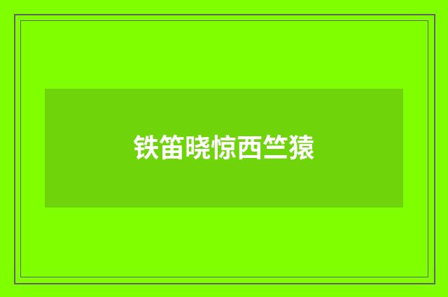 铁笛晓惊西竺猿