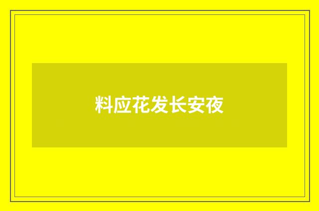 料应花发长安夜