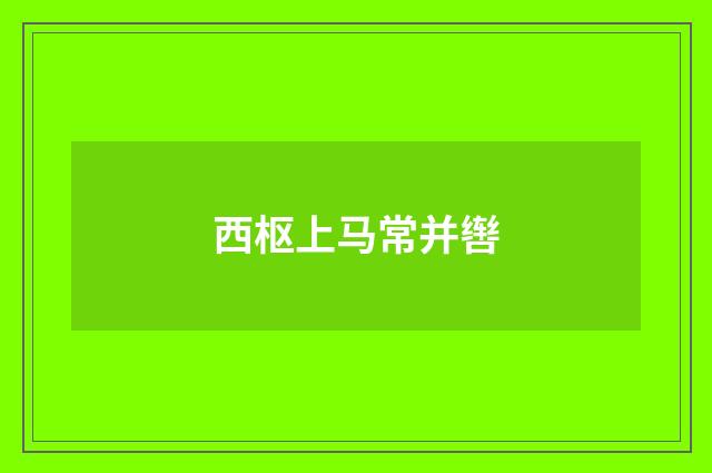 西枢上马常并辔