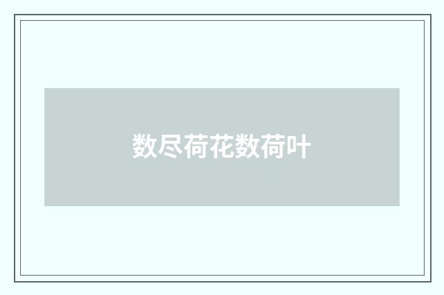 数尽荷花数荷叶