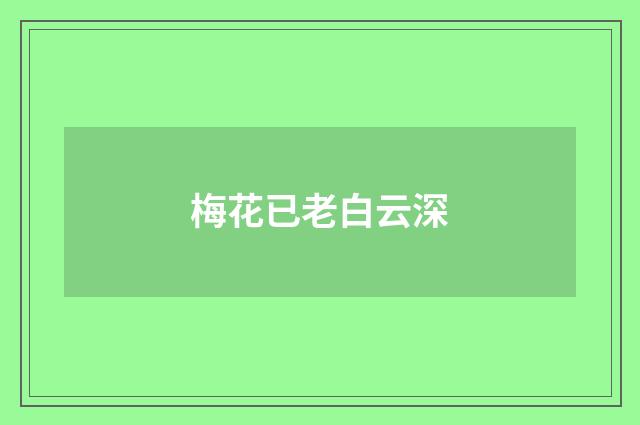 梅花已老白云深