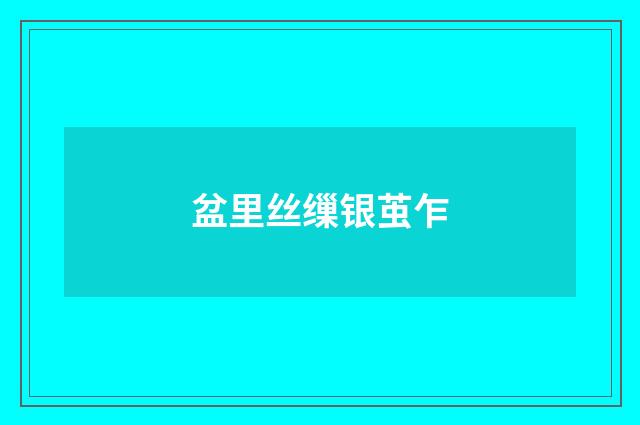 盆里丝缫银茧乍