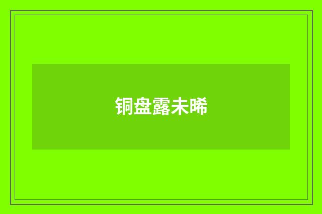 铜盘露未晞