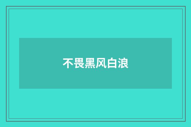 不畏黑风白浪