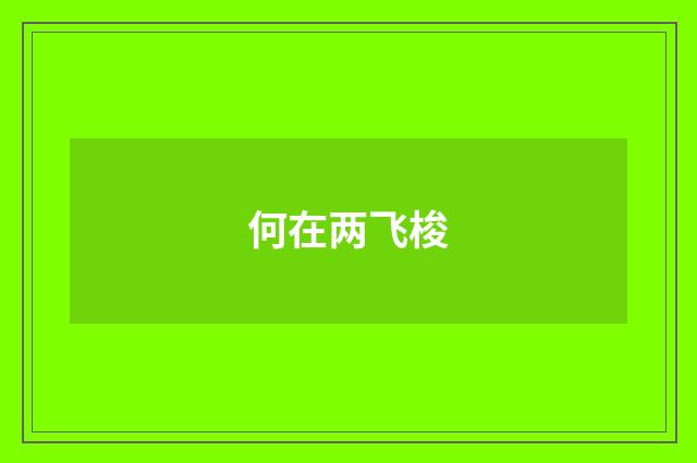 何在两飞梭