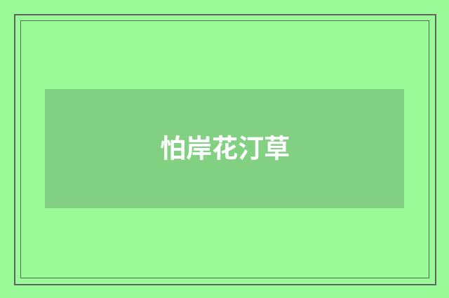 怕岸花汀草