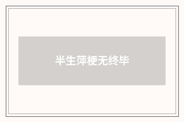 半生萍梗无终毕
