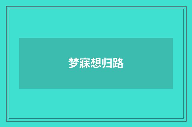 梦寐想归路