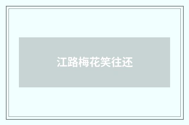江路梅花笑往还