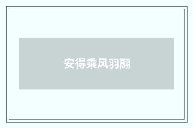 安得乘风羽翮
