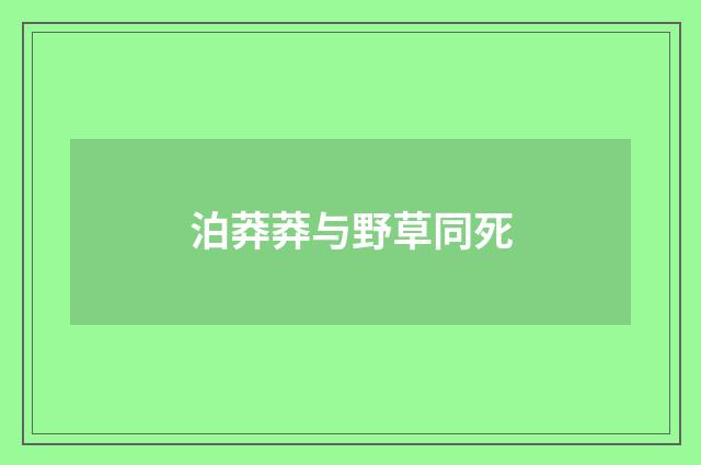 泊莽莽与野草同死