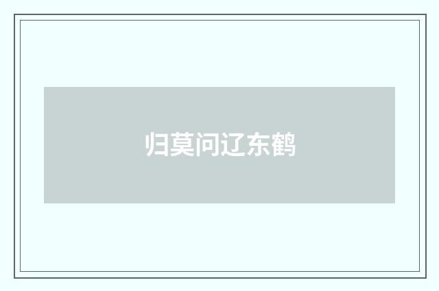 归莫问辽东鹤