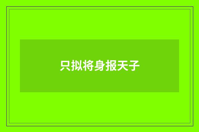 只拟将身报天子