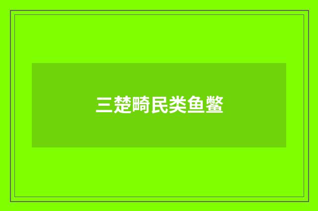 三楚畸民类鱼鳖