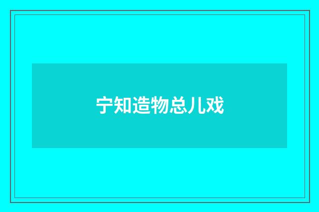 宁知造物总儿戏