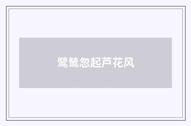 鹭鸶忽起芦花风