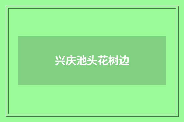 兴庆池头花树边