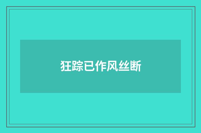 狂踪已作风丝断