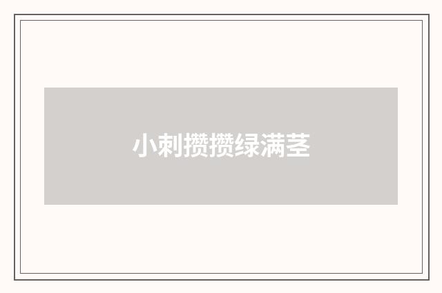 小刺攒攒绿满茎