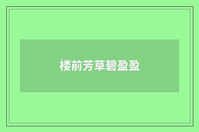 楼前芳草碧盈盈