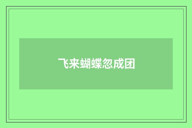 飞来蝴蝶忽成团