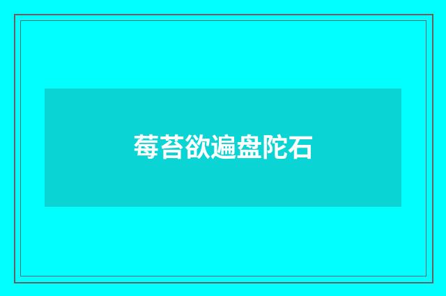 莓苔欲遍盘陀石