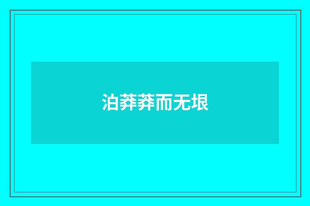 泊莽莽而无垠