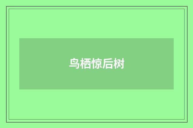 鸟栖惊后树